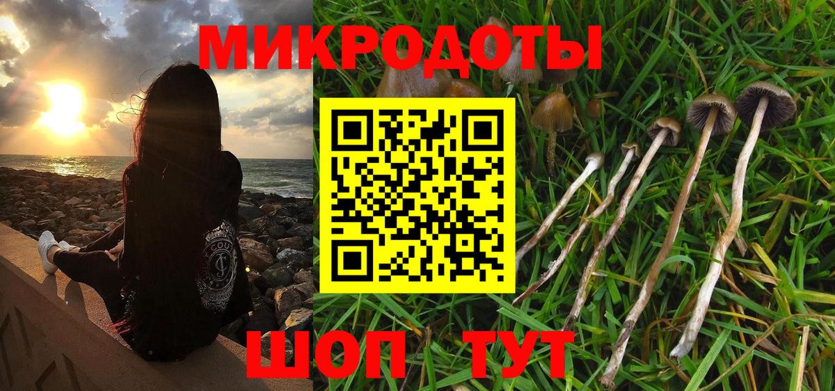 Галлюциногенные грибы MAGIC MUSHROOMS Владивосток