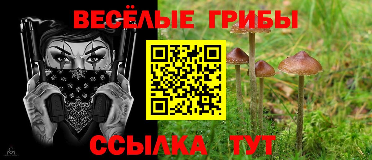 Владивосток  Псилоцибиновые грибы мухоморы  Псилоцибиновые грибы Psilocybine cubensis  Вход с VPN 